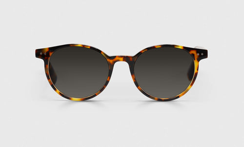 Case Closed Sunglasses