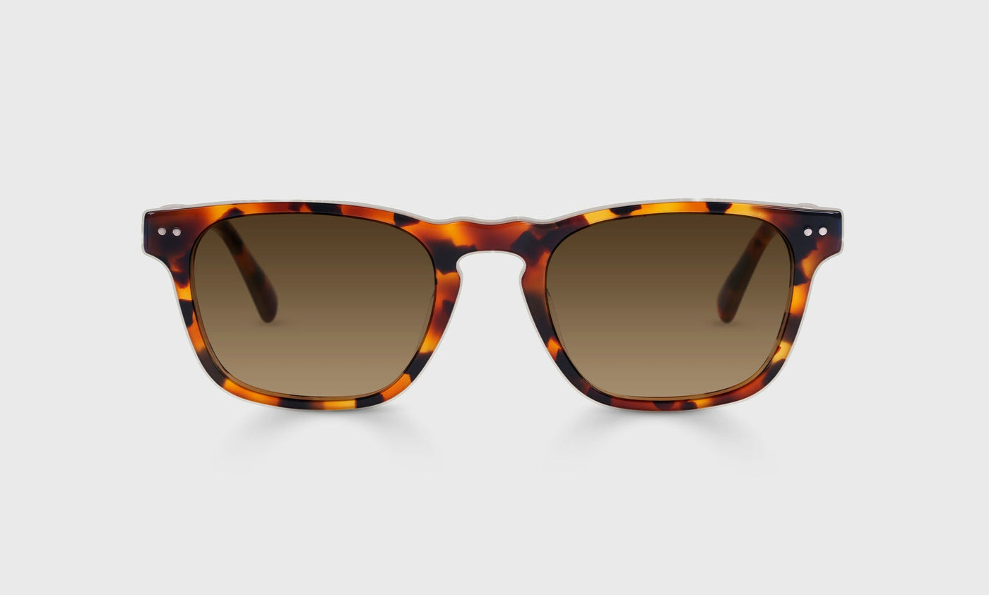 19-pb | eyebobs Old Sport, Average, Rectangle, Reader Sunglasses, Polarized Brown
