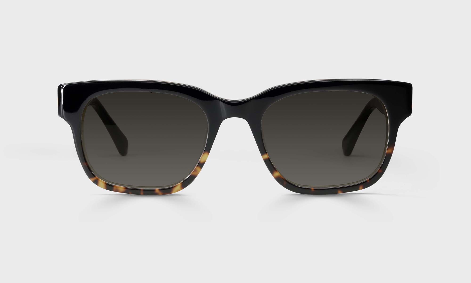 05-pg | bold eyebobs Numero Uno Rectangle Average bifocal reader sunglasses polarized brown sunglasses 