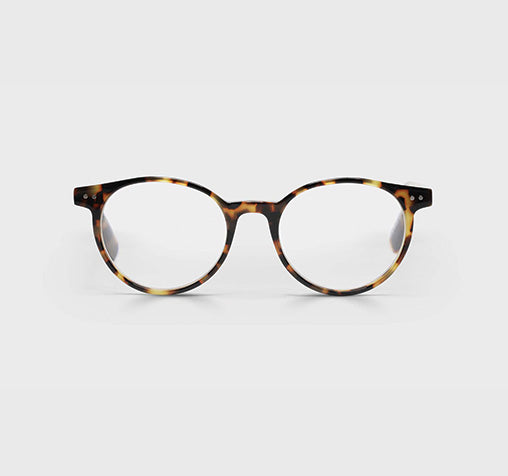 Case Closed in Tortoise
