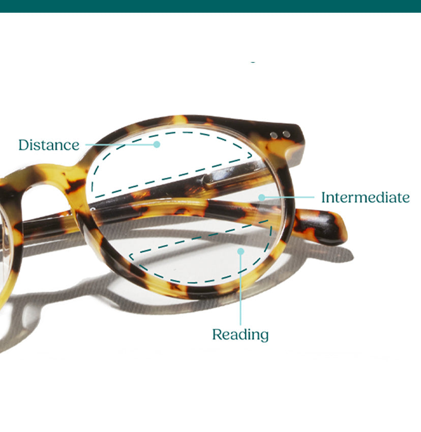 Case Closed in Tortoise Showing Progressives
