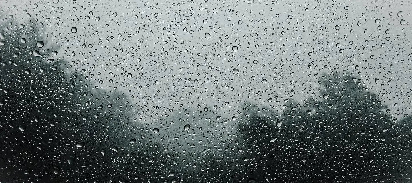 raindrops on a window with trees in the background