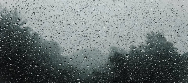 raindrops on a window with trees in the background