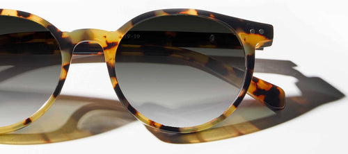 turtle shell transition lense glasses on a white surface