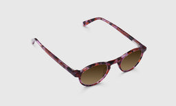 Board Stiff - Angle - Polarized Brown