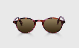 Board Stiff - Front - Polarized Brown