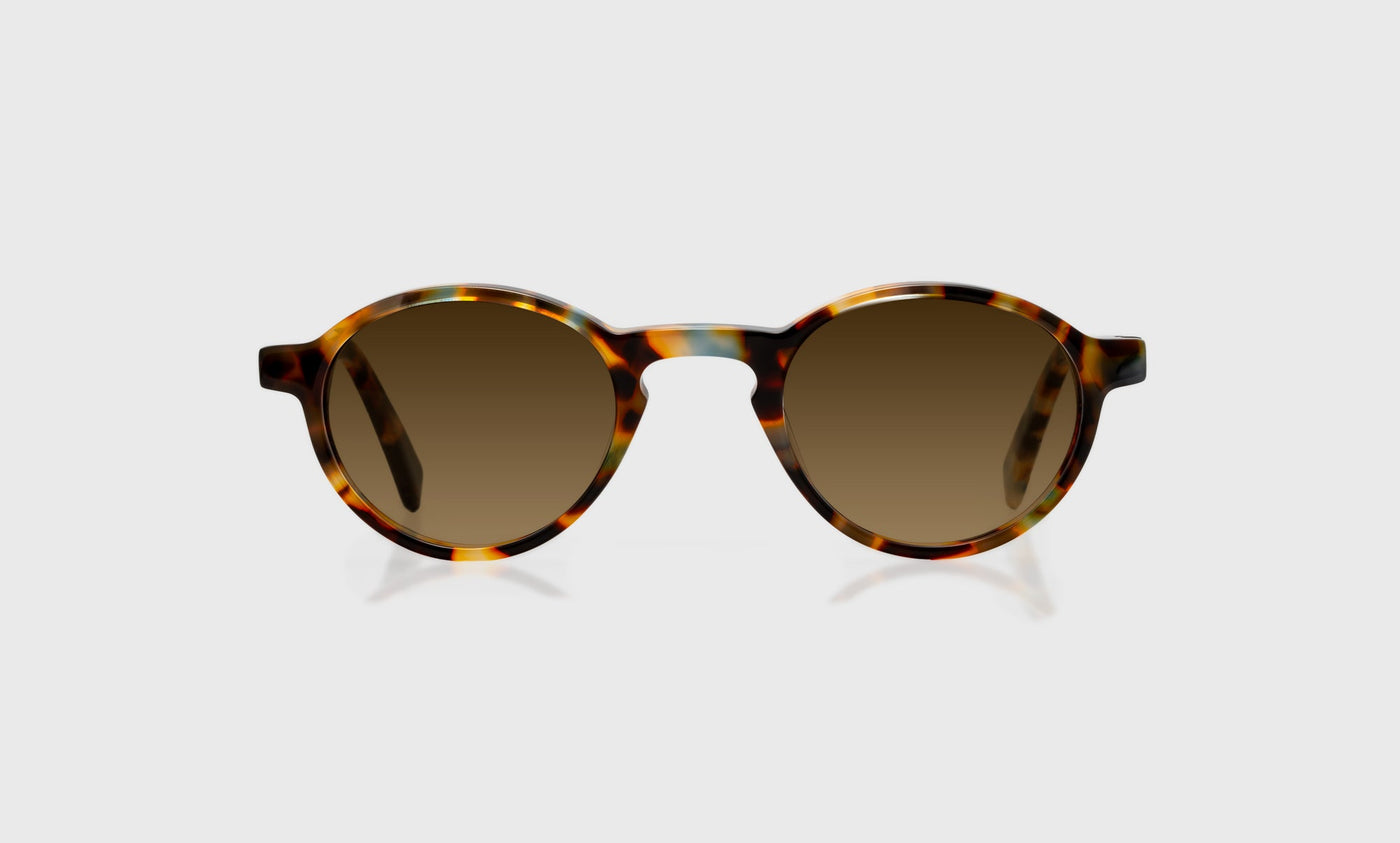 Board Stiff - Front - Polarized Brown