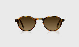 Board Stiff - Front - Polarized Brown