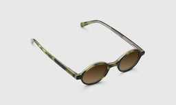 P. Body - Angle - Polarized Brown