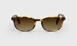 On Board - Front - Polarized Brown