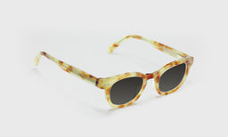 Waylaid - Angle - Polarized Grey