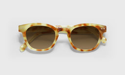 Waylaid - Laydown - Polarized Brown