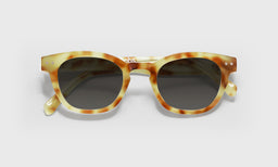 Waylaid - Laydown - Polarized Grey