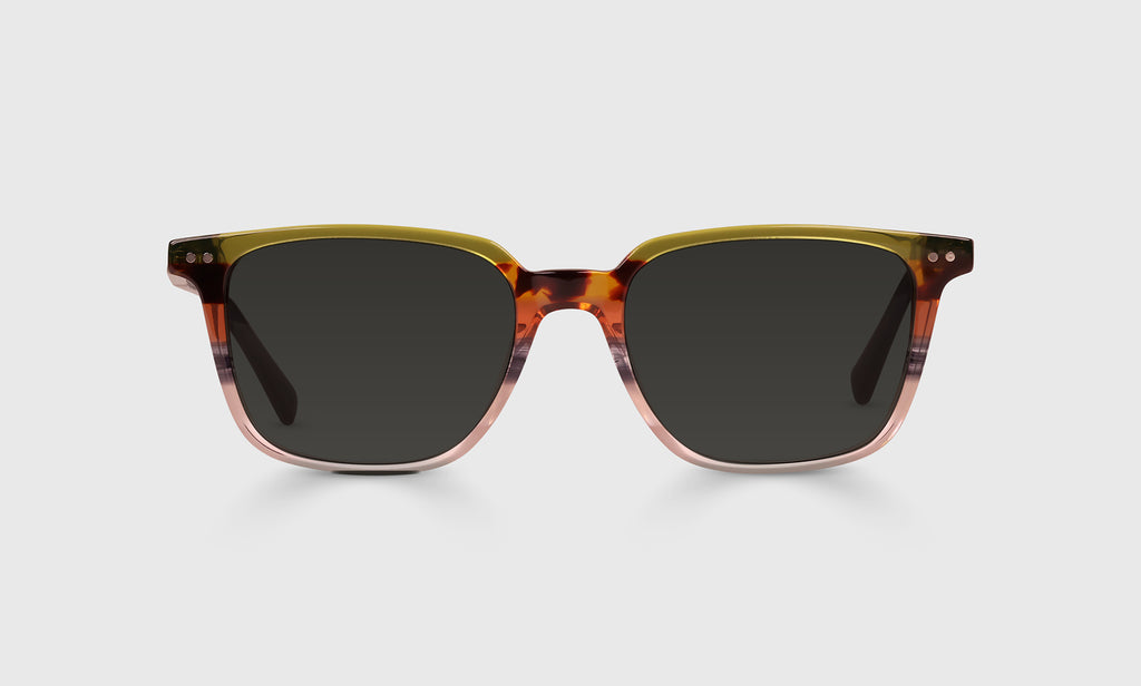 6cusページ C Suite Sunglasses | eyebobs