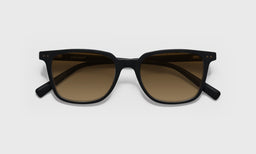 C Suite - Laydown - Polarized Brown