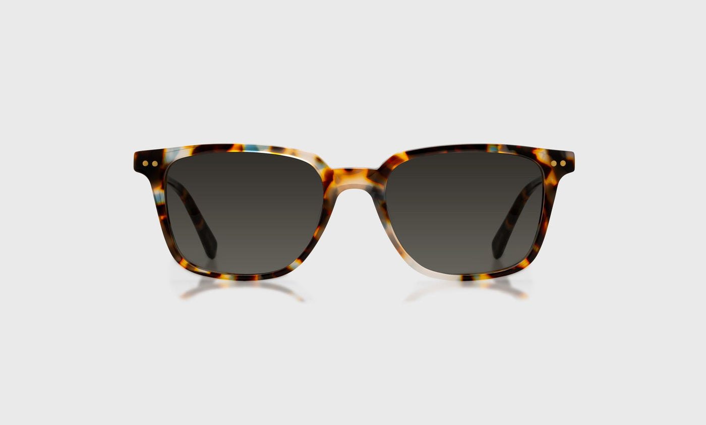 C Suite - Front - Polarized Grey