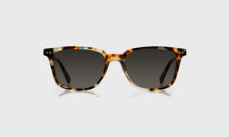 C Suite - Front - Polarized Grey