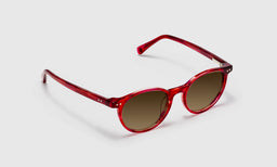 Case Closed - Angle - Polarized Brown