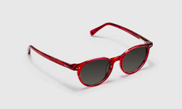 Case Closed - Angle - Polarized Grey