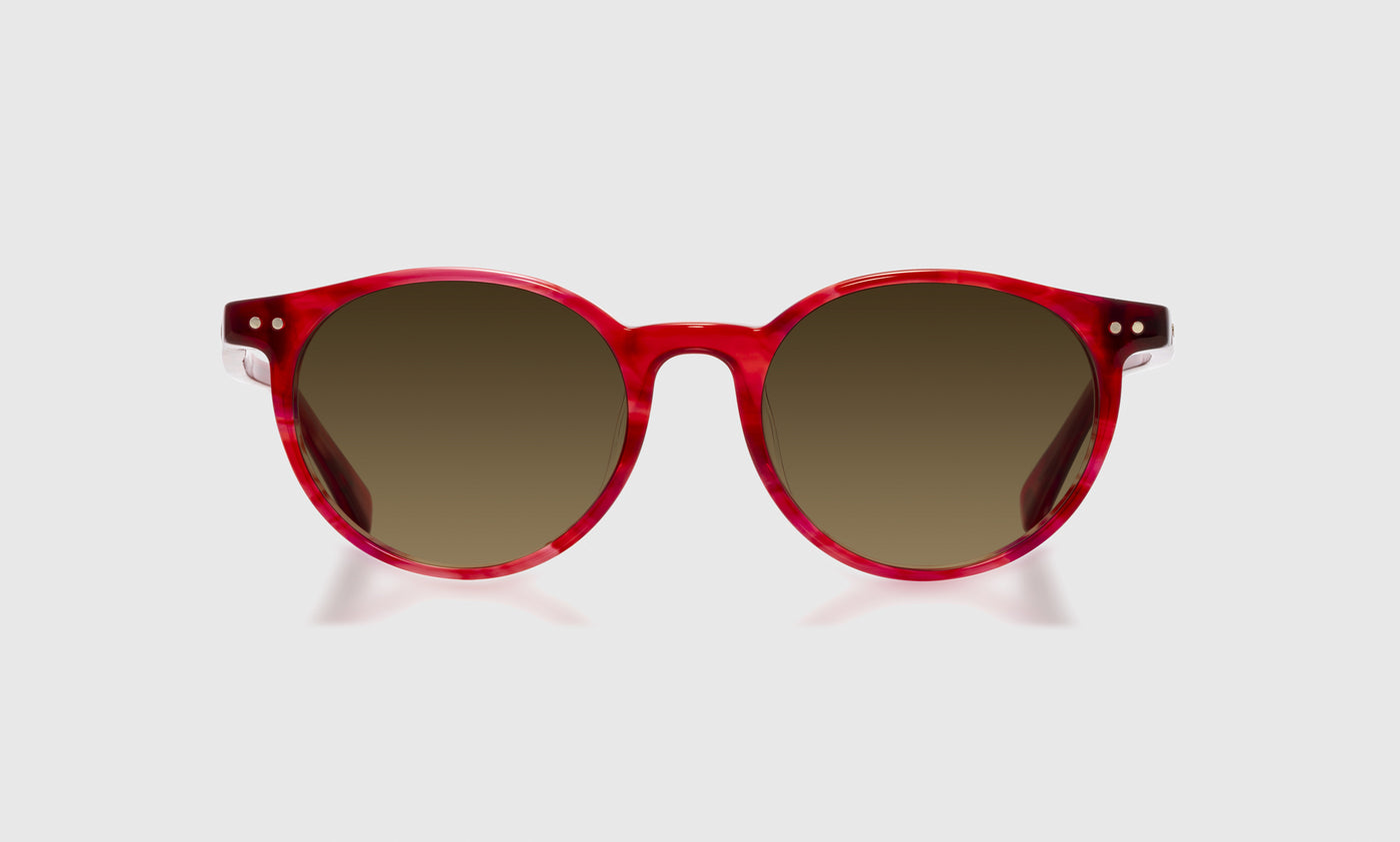 Case Closed - Front - Polarized Brown