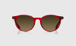 Case Closed - Front - Polarized Brown