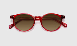 Case Closed - Laydown - Polarized Brown