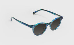 Case Closed - Angle - Polarized Grey