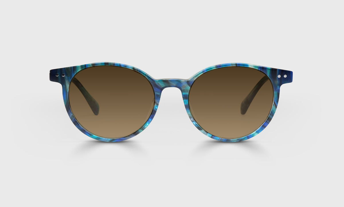 Case Closed - Front - Polarized Brown