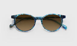 Case Closed - Laydown - Polarized Brown