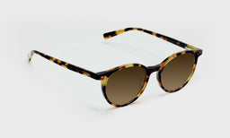 Case Closed - Angle - Polarized Brown