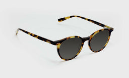 Case Closed - Angle - Polarized Grey
