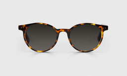 Case Closed - Front - Polarized Grey