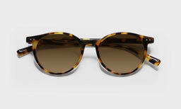 Case Closed - Laydown - Polarized Brown