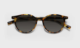 Case Closed - Laydown - Polarized Grey