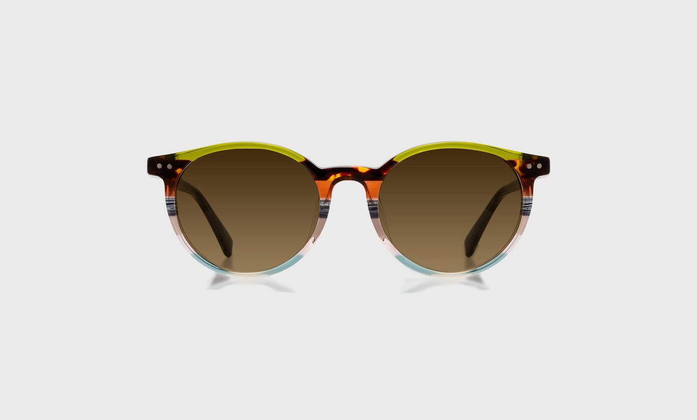 Case Closed - Front - Polarized Brown