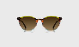 Case Closed - Front - Polarized Brown