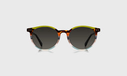 Case Closed - Front - Polarized Grey