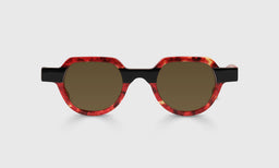 Knock Out - Front - Polarized Brown