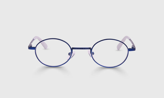 09 - Navy Metal Front and White Temples