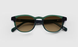 Clearly... - Laydown - Polarized Brown