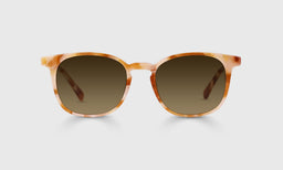 Boardroom - Front - Polarized Brown