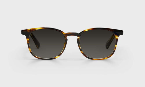 Boardroom Sunglasses