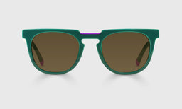 17-pb | Eyeconoclast brown polarized sunglass frames on neutral background