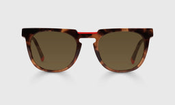 19-pb | Eyeconoclast brown polarized sunglass frames on neutral background