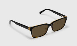 Wide Eyed - Angle - Polarized Brown