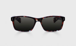 Roy D Color 22 - Mahogoney Tortoise Front and Temples