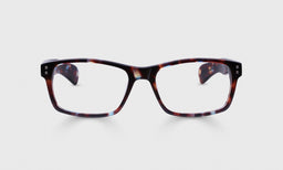 Roy D Color 22 - Mahogoney Tortoise Front and Temples