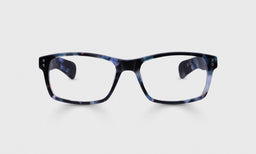 Roy D Color 12 - Blueberry Tortoise Front and Temples
