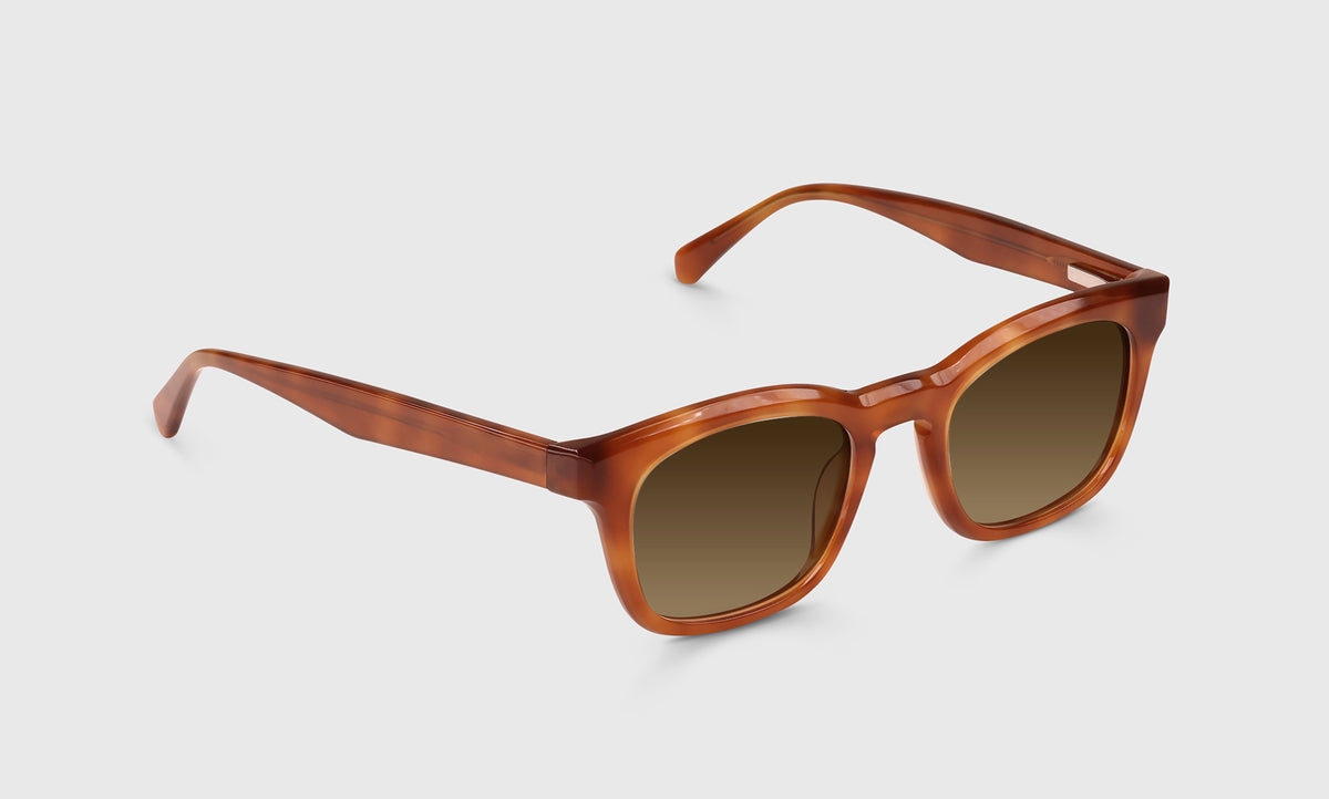 Humble Narrator - Angle - Polarized Brown