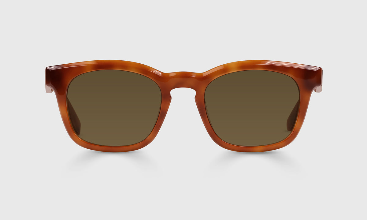 Humble Narrator - Front - Polarized Brown